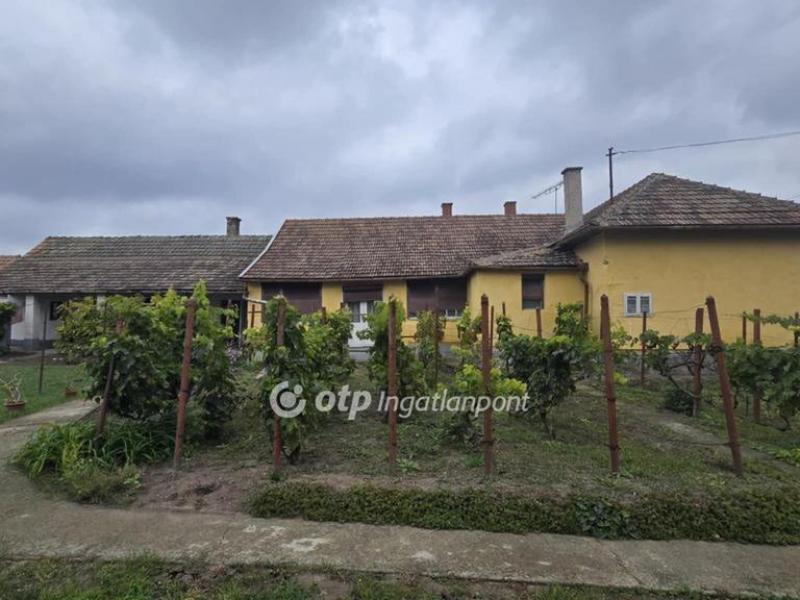 Eladó családi ház Tetétlen