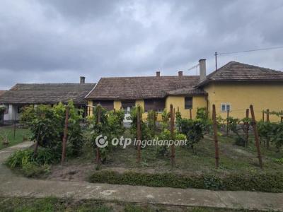 Eladó családi ház Tetétlen