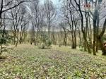 Eladó lakóövezeti telek Budapest