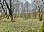 Eladó lakóövezeti telek Budapest