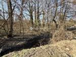 Eladó lakóövezeti telek Szentendre