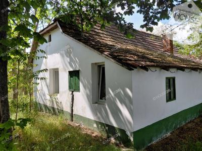 Eladó tanya Kecskemét