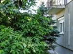 Eladó lakás Veszprém