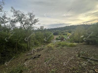 Eladó lakóövezeti telek Bénye