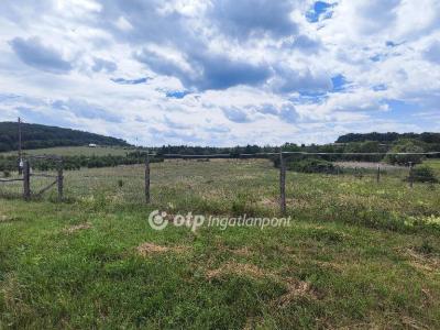 Eladó külterületi telek Balatonszőlős