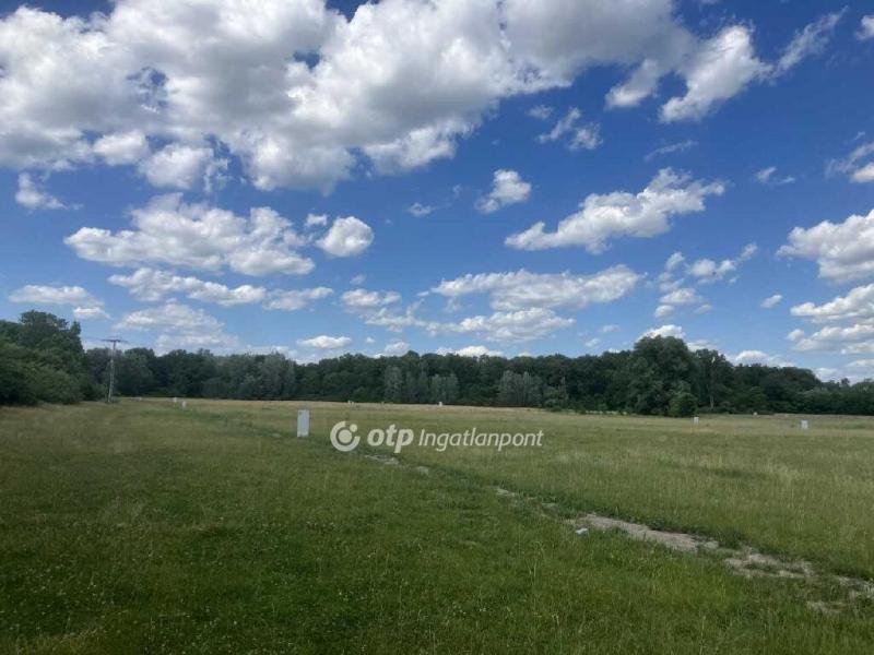 Eladó lakóövezeti telek Debrecen