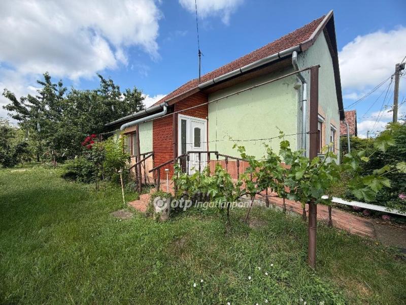 Eladó családi ház Füzesgyarmat