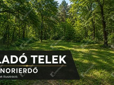 Eladó üdülőövezeti telek Monor Monorierdő