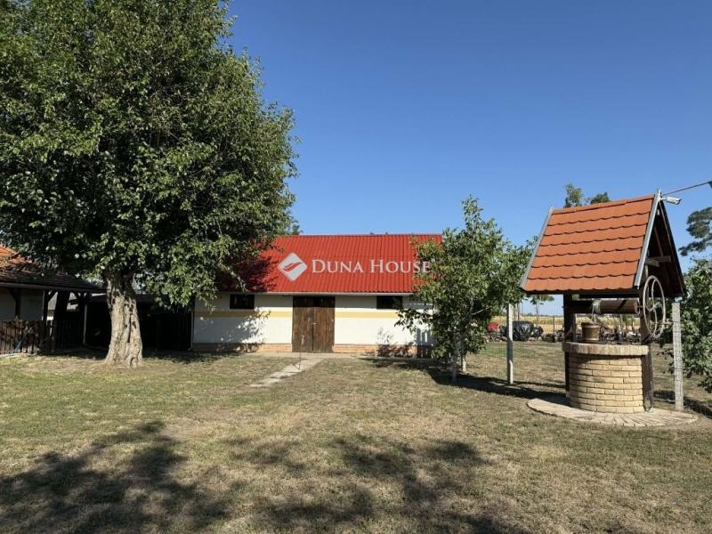 Eladó tanya Nagyszénás