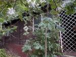 Eladó családi ház Tahitótfalu