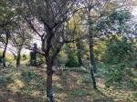 Eladó nyaraló Miskolc