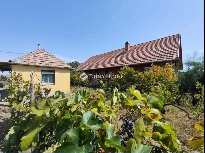 Eladó családi ház Csévharaszt