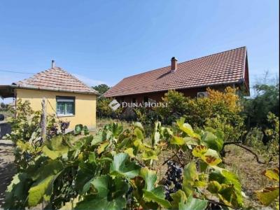 Eladó családi ház Csévharaszt