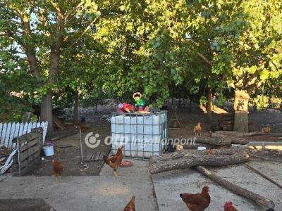 Eladó családi ház Mikepércs