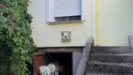 Eladó családi ház Pécel