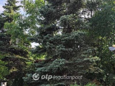 Eladó külterületi telek Veszprém