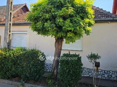 Eladó családi ház Szolnok