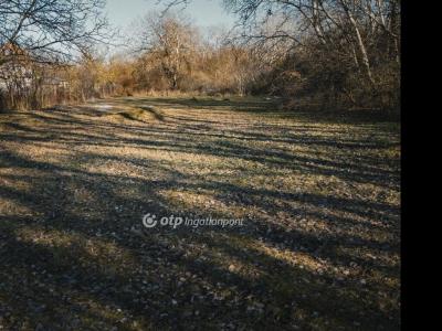 Eladó lakóövezeti telek Székesfehérvár