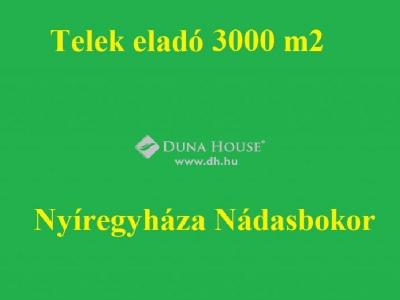 Eladó lakóövezeti telek - 4400 Nyíregyháza