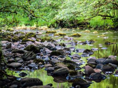 Eladó lakóövezeti telek - 2623 Kismaros, Hangafű utca