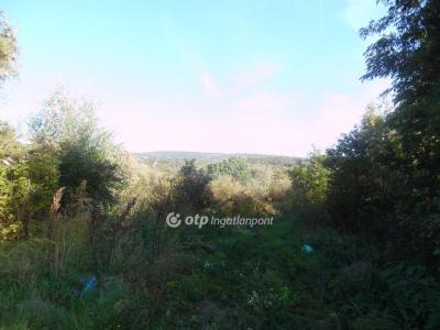 Eladó nyaraló - 2092 Budakeszi