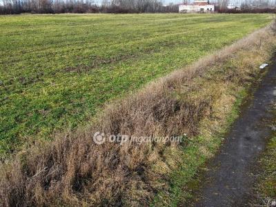 Eladó ipari terület - 6800 Hódmezővásárhely