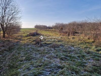 Eladó lakóövezeti telek - 2230 Gyömrő