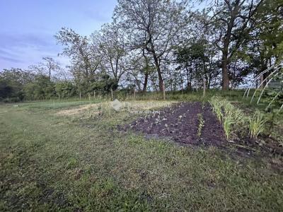 Eladó nyaraló - 2422 Mezőfalva