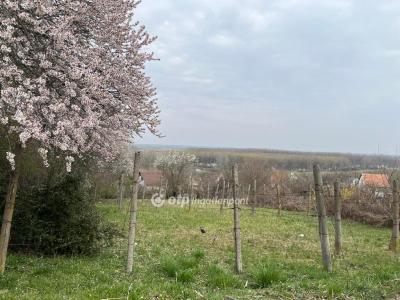 Eladó nyaraló - 7100 Szekszárd, Pál utca