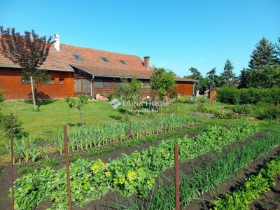 Eladó családi ház - 5600 Békéscsaba