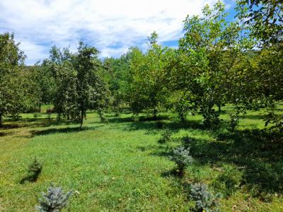 Eladó lakóövezeti telek - 2181 Iklad, Sport utca