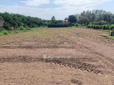 Eladó lakóövezeti telek - 4434 Kálmánháza