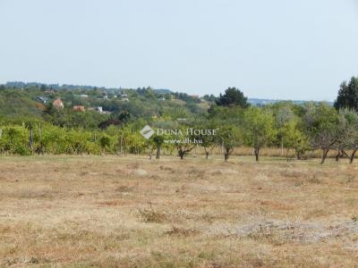 Eladó külterületi telek - 8174 Balatonkenese