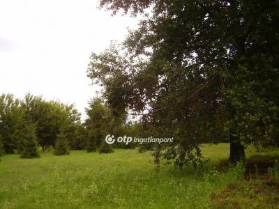 Eladó ipari terület - 2162 Őrbottyán