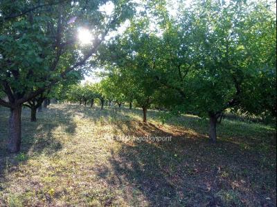 Eladó lakóövezeti telek - 7200 Dombóvár