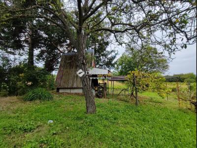 Eladó külterületi telek - 3000 Hatvan