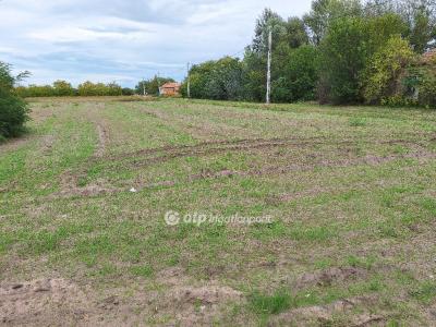 Eladó lakóövezeti telek - 6062 Tiszakécske