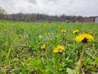 Eladó lakóövezeti telek - 2253 Tápióság