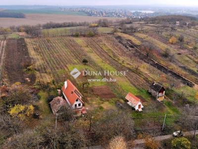 Eladó pince, présház - 2851 Környe, Öreghegy