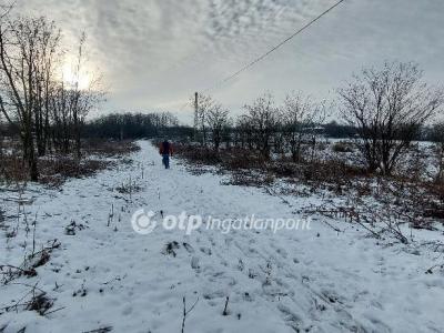 Eladó lakóövezeti telek - 8086 Felcsút