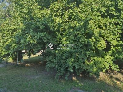 Eladó családi ház - 2200 Monor