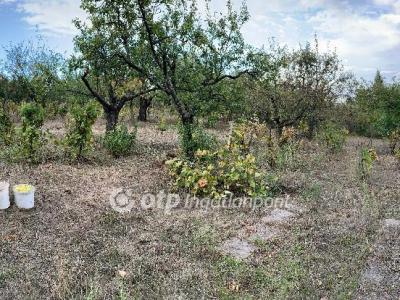 Eladó nyaraló - 3529 Miskolc