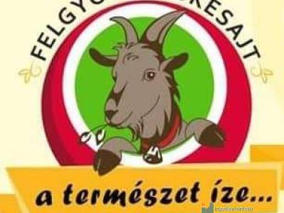 Eladó mezőgazdasági - 6645 Felgyő, Felgyő  I. kerület Tanya