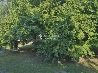 Eladó családi ház - 2200 Monor