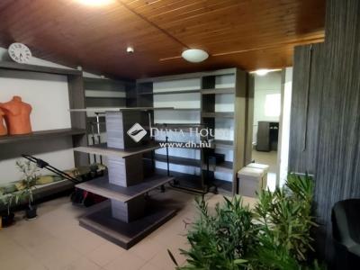 Eladó családi ház - 2252 Tóalmás