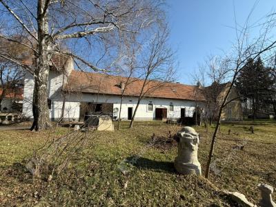 Eladó kastély - 2730 Albertirsa, Vasút utca