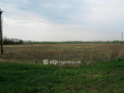 Eladó külterületi telek - 6758 Röszke