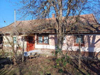 Eladó családi ház - 6647 Csanytelek