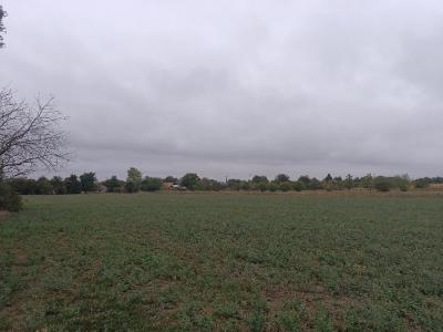 Eladó lakóövezeti telek - 2454 Iváncsa