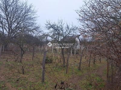 Eladó pince, présház - 2200 Monor